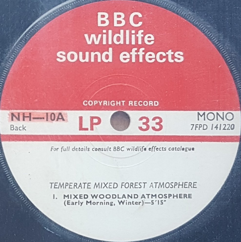 NH 10A Forest atmosphere Not registered from the BBC records and Tapes library Label